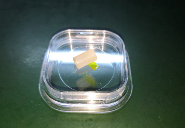 铽镓石榴石(Tb3Ga5O12, TGG)晶体