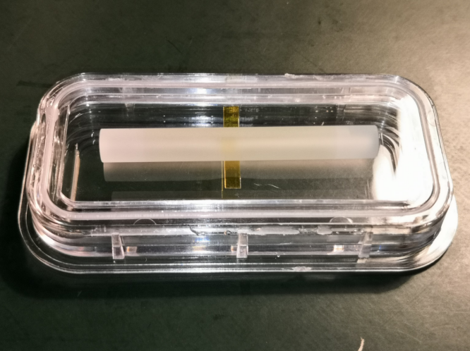 掺钬钇铝石榴石晶体