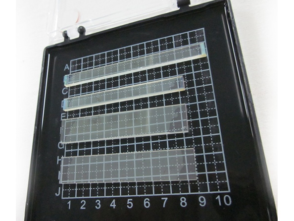 周期极化掺氧化镁铌酸锂晶体