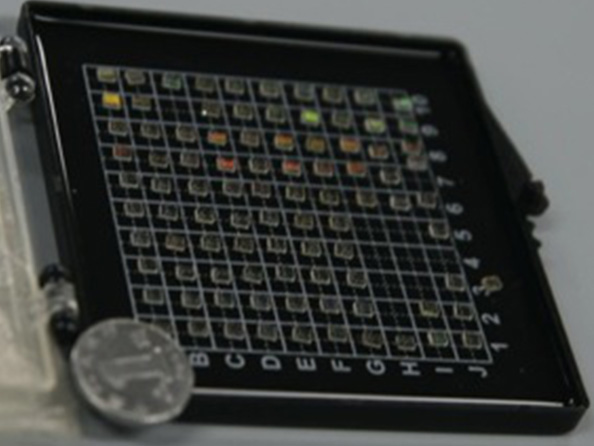 新疆专业MgO:LN电光开关厂家