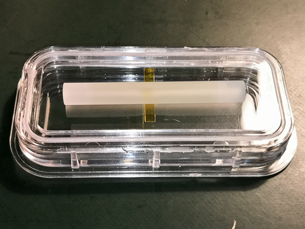 河南专注电光晶体厂家