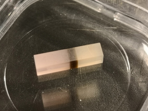 青海专注BBO电光开关厂家